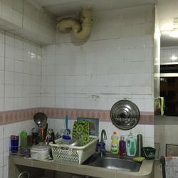 Blk 289 Choa Chu Kang Avenue 3 (Choa Chu Kang), HDB 4 Rooms #110720402